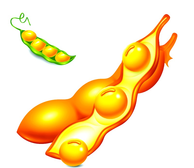 散裝毛油遭淘汰,高品質(zhì)大豆油獲新生(圖1) 成套大豆油精煉設(shè)備布置圖