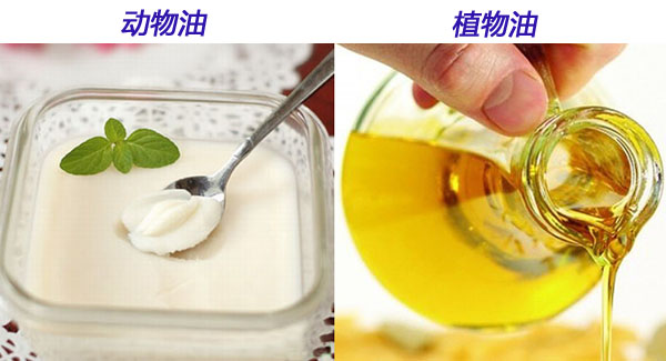 浸出油專家解析動植物油哪個更健康(圖1) 浸出油設備